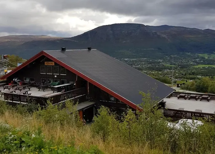 Fjellleilighet Med Drommeutsikt